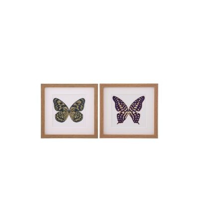CUADRO IMPRESIÓN MARIPOSAS